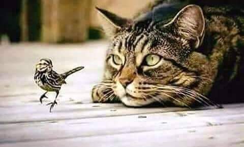 حطوا تعليق للصورة 
💓
