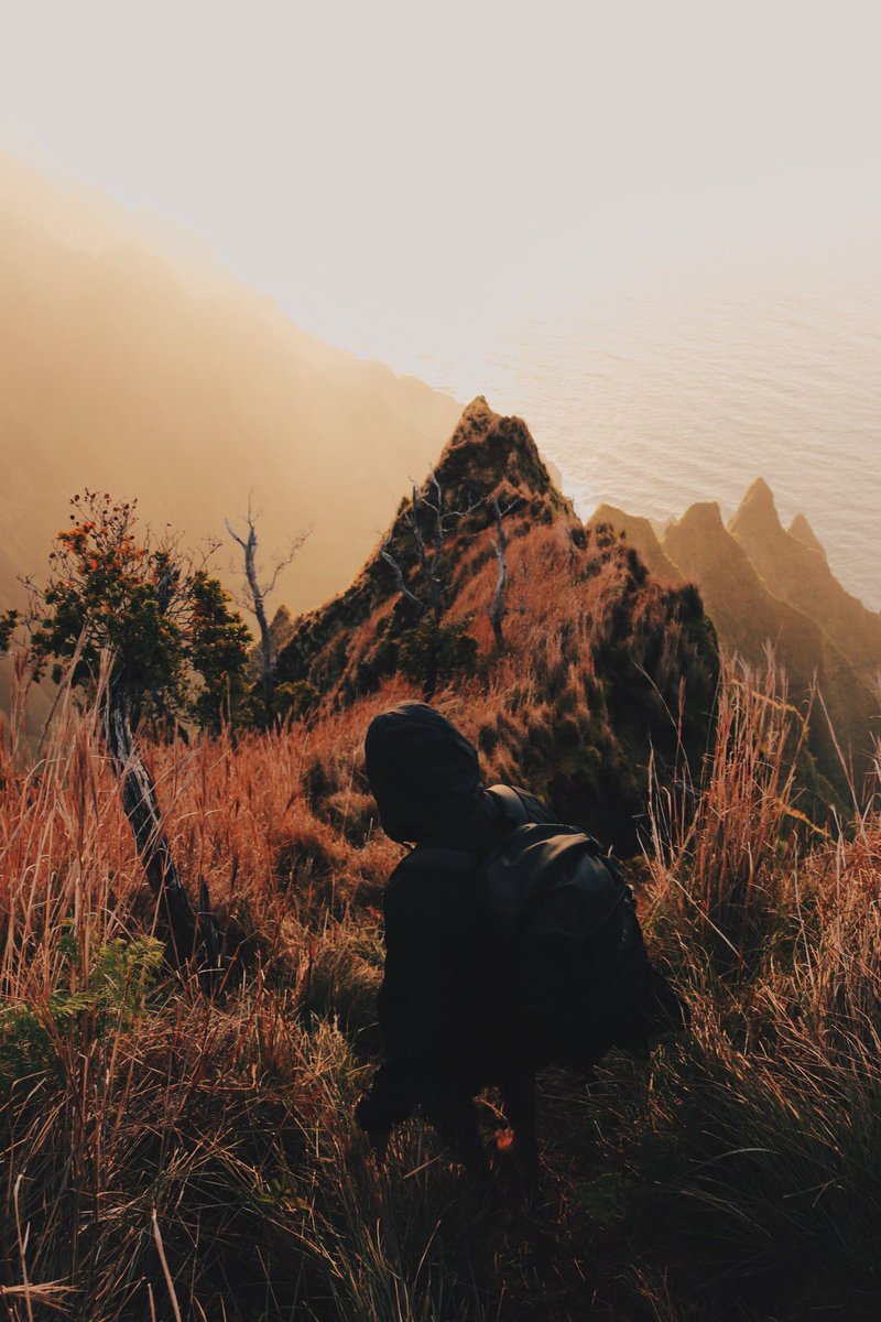 🧜🏽‍♂️ tweet media