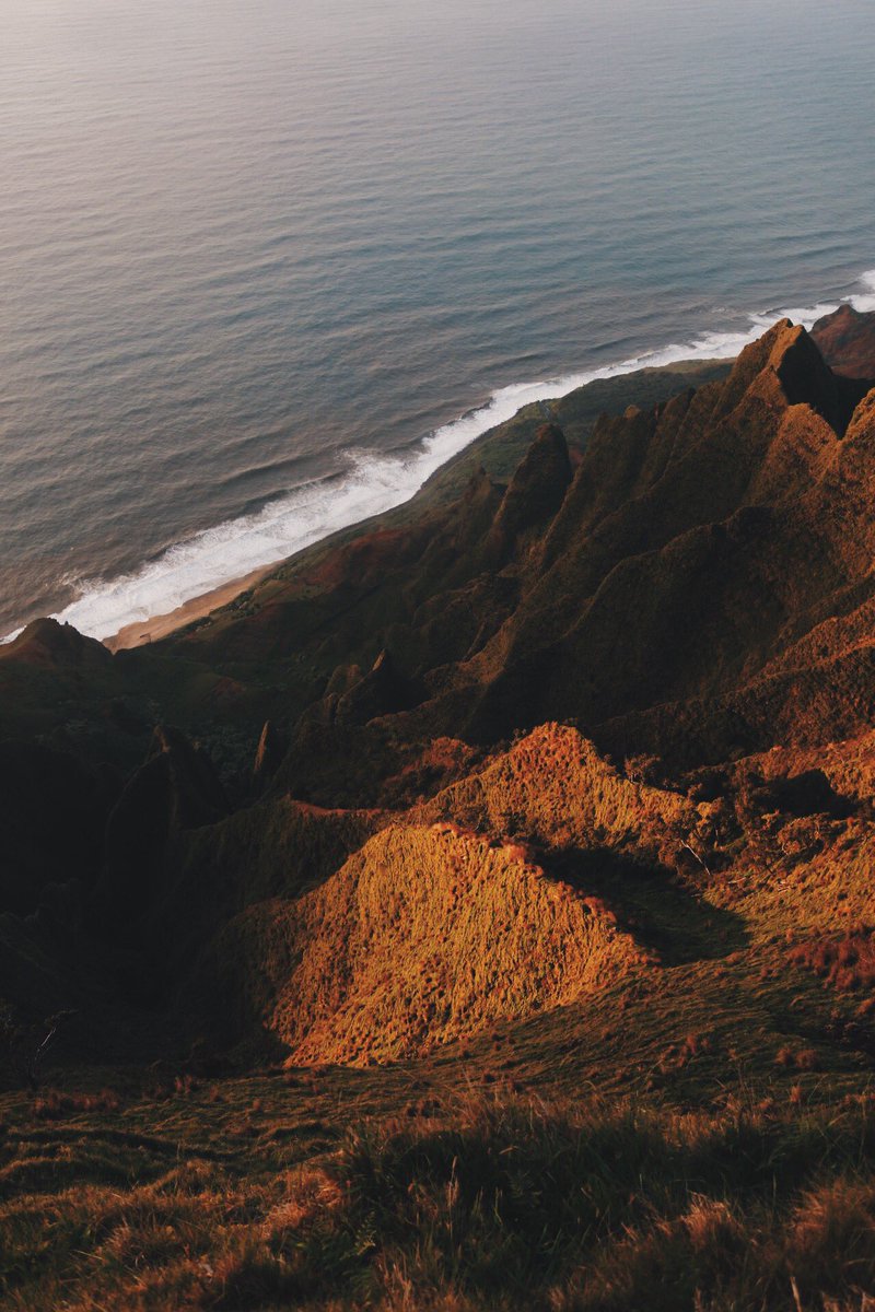 🧜🏽‍♂️ tweet media