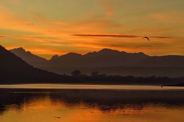 gotravelbug's tweet photo. Early evening next to the @visit_sedgefield estuary. Calm waters and a sunset. A typical autumn day in the Garden Route.
#lovewherewelive #gardenroute #howzitsouthafrica #mygardenroute #visualstoryteller #VisitSouthAfrica #meetsouthafrica #exploretocr… https://t.co/4UCe5W0Fuw https://t.co/6qSQbjpDmO