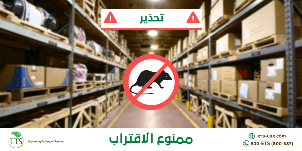 etsuae's tweet image. تعيش القوارض داخل البيوت والمستودعات ومطابخ المطاعم وتتكاثر بشكل كبير بداخلها مما يصعب من عملية القضاء عليها وطردها.
للتواصل مع خبرائنا الرجاء الاتصال على الرقم التالي:
(800-387)
أو زيارة موقعنا الإلكتروني:
ets-uae.com/freecheck/flies
#مكافحة_الحشرات
#مكافحة_الذباب