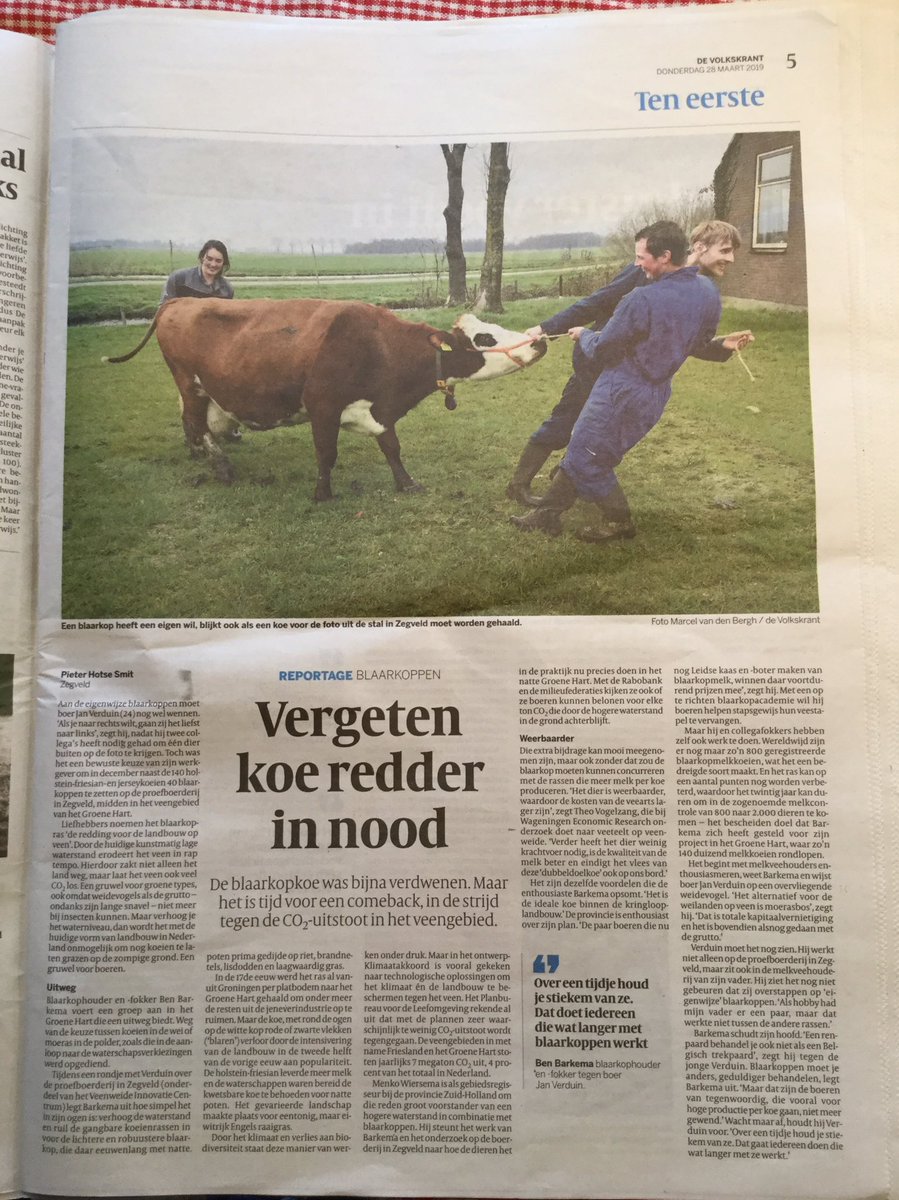 Historische oplossing voor een hedendaags probleem: de blaarkop en de bodemdaling.