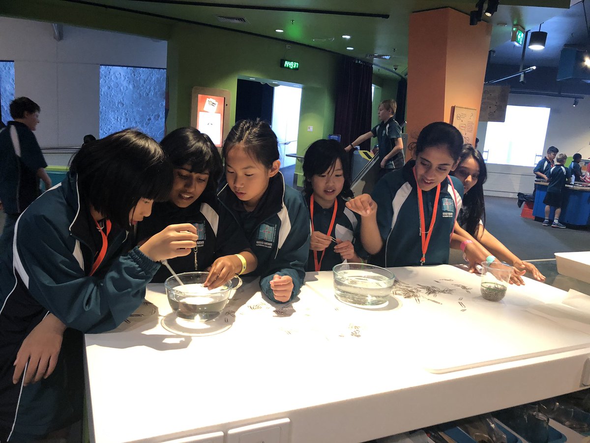 GNLCCamps's tweet photo. @GNLCCamps Sceintific exploration @questacon https://t.co/RNytT4q1cw