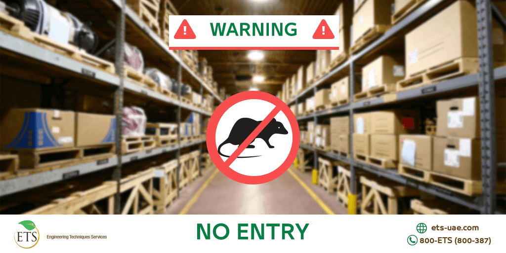 etsuae's tweet image. Rodents live at homes, warehouses, and restaurants’ kitchens; where they keep growing in number, making it difficult to terminate or kick them out. 
Give ETS a call to help you terminate them: 
800-387
Or visit our website:
ets-uae.com/freecheck/flie…
