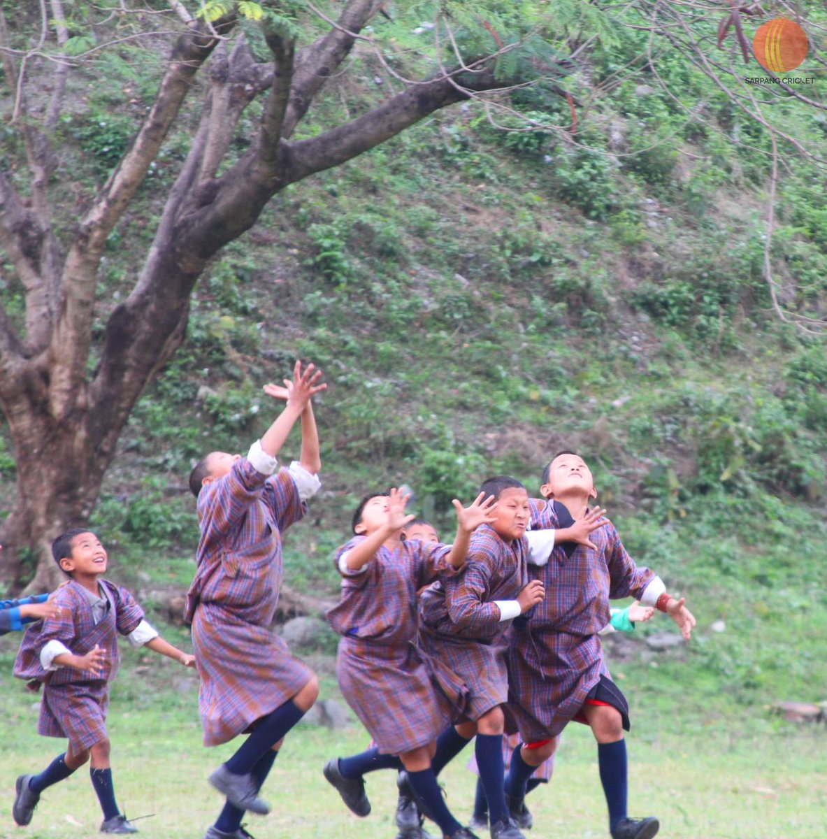 SonamLh74414240's tweet photo. Eyes on the ball👀
I want the ball🤲
#WorldwideWickets #ICC
#Bhutan #CricketBhutan https://t.co/6Vxsmz4PAp