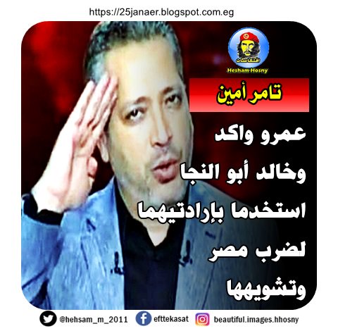 تامر أمين عمرو واكد وخالد أبو النجا استخدما بإرادتيهما لضرب مصر وتشويهها