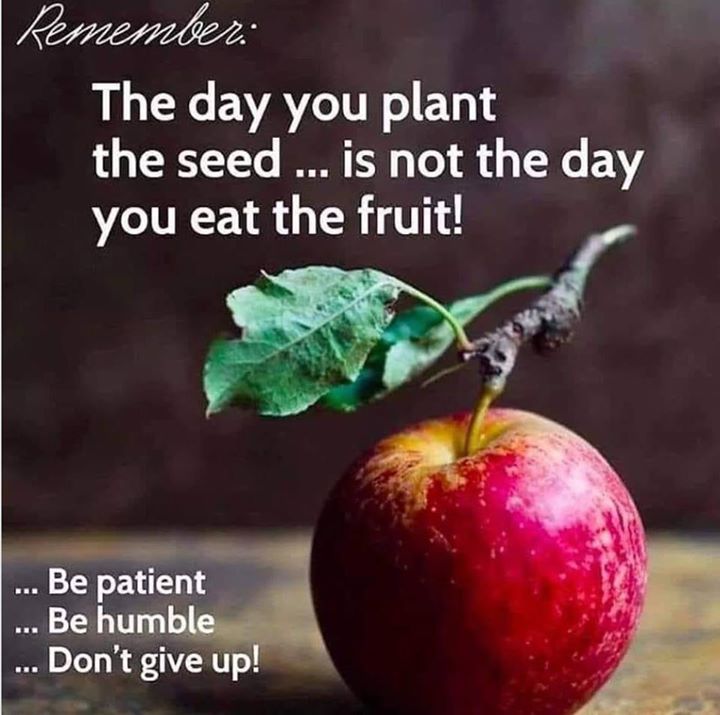 Spatzenmarketer's tweet photo. Good Morning World:
The day you seed is not the day you harvest - Be patient, humble and never give up!
#winner #impact101 #crowdfunding #p2pprofit via Facebook https://t.co/RP8NfpjUpn https://t.co/Ms9UwJ1mN0