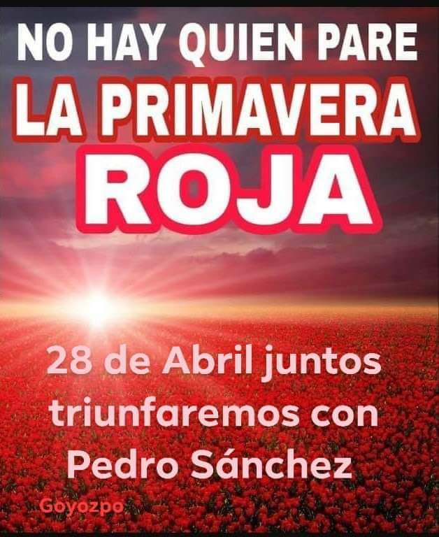 MariaAraceliCa6's tweet photo. Es él  presidente  del gobierno 
@sanchezcastejon .Si  el que vamos a votar esta Primavera .
Votar a Pedro Sánchez y al PSOE vamos a llenar las urnas de .Rosas Rojas el 28 de Abril. 
#LaEspañaQueQuieres https://t.co/WGAQPjZSwd