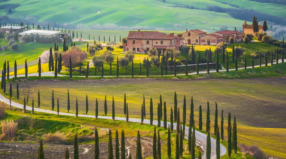 _bikeadventures's tweet photo. Check out this fabulous winding cypress-lined Tuscan road! Imagine riding your bike down it at the end of a wonderful day of cycling! https://t.co/dhNlUhPIgh #myholidays #cyclingholidays #bikeadventures #bikepassion #bikespirit #cyclingspirit #longdistancecycling #cycletuscany https://t.co/2VJCcjirET