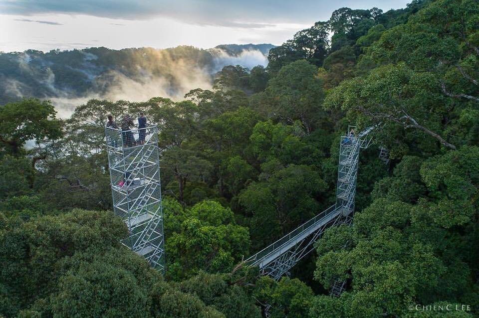 IsskndarAriffin's tweet photo. Siapa yang kata travel 🧳 pergi Brunei 🇧🇳 boring, mesti tak pernah sampai tempat yang nak di kongsikan ini. Tempat ni nama dia Hutan Negara Ulu Temburong. Kalau nak tahu, hutan ni ada spesis semut yang boleh meletup 😱😱😱 &amp; popular dengan canopy walk. https://t.co/OSZuZqsvin