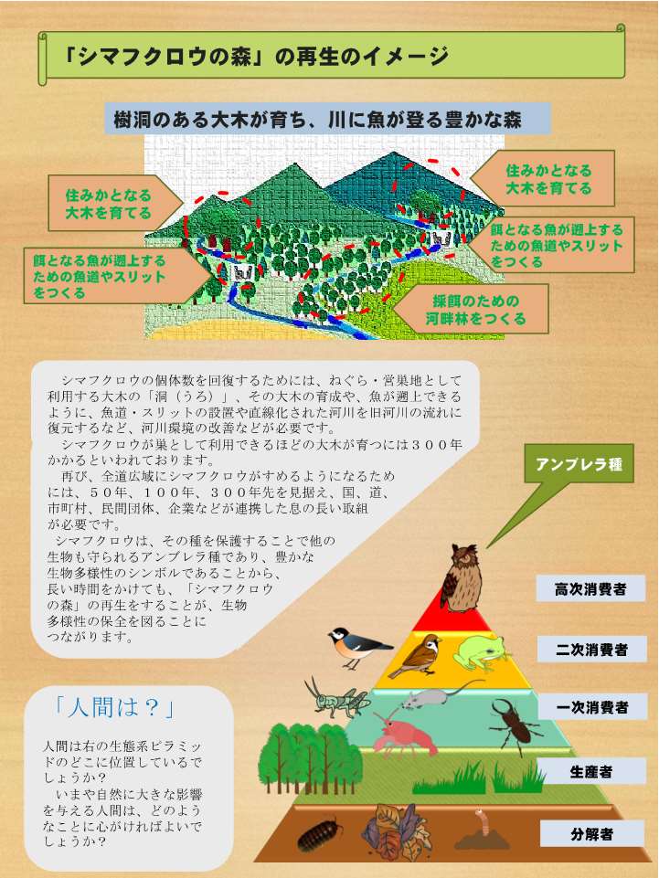 北海道 Ar Twitter 北海道公式ウェブサイト 生物多様性保全の取組推進に シマフクロウの森 の再生のページを追加しました 環境生活部 環境局生物多様性保全課 シマフクロウ 環境保護 Https T Co Pswjlvsxpg