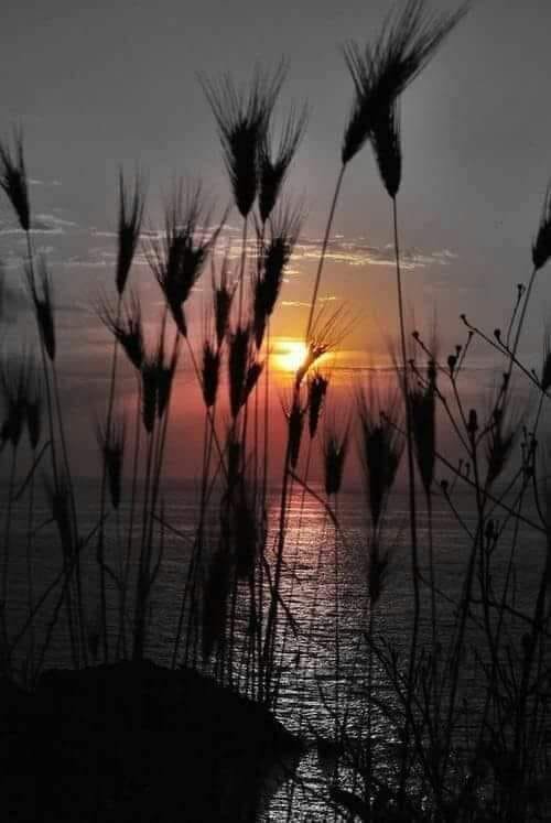 DanHere77's tweet photo. The beautiful thing about a new day is that all your hopes and plans can live on...learn from yesterday but leave it where it is, in the past...you have the power to create an amazing day, enjoy it everyone! https://t.co/J1EQMkXqs4