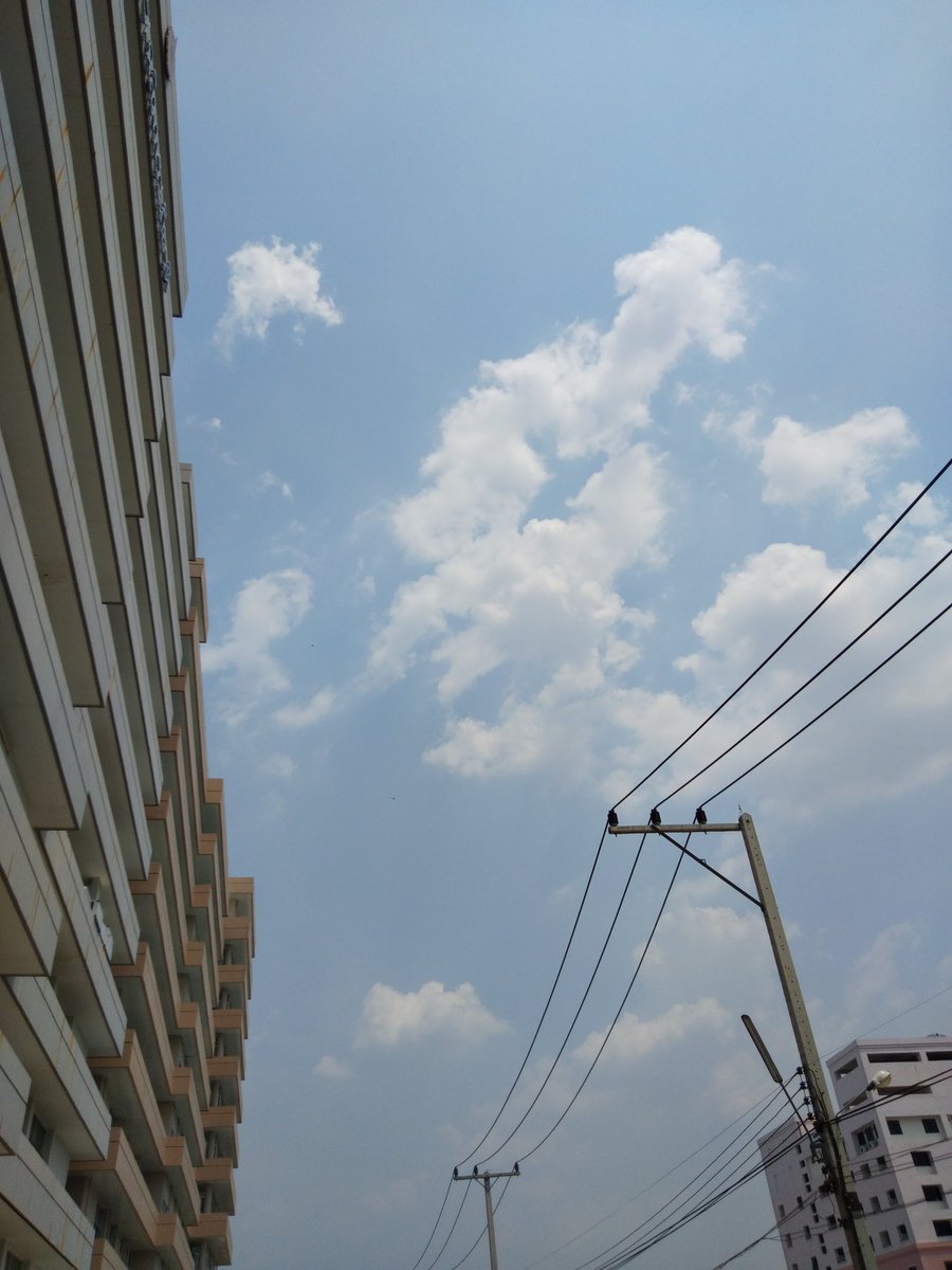 ปิดบอท tweet media