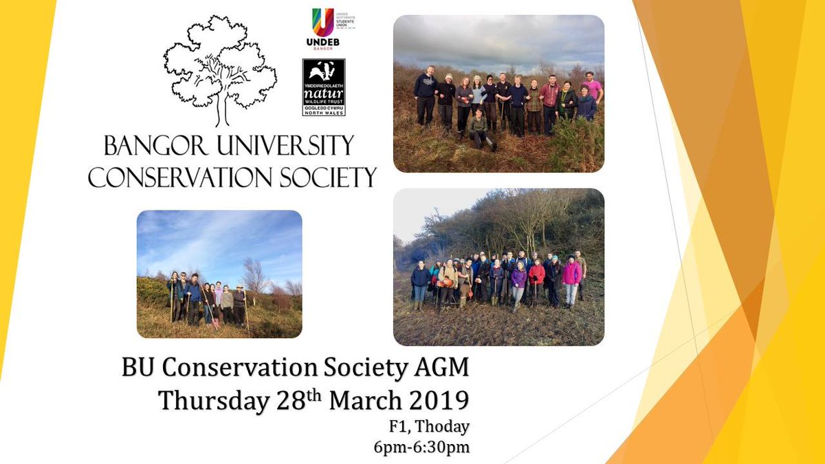 After a brilliant year, it’s now time to select a new committee! We need a new committee for next year in order for the society to continue, so if you’re interested in helping out, come to our AGM tonight in Thoday at 6pm! We need your help!! 🌱 #conservation #bangoruniversity