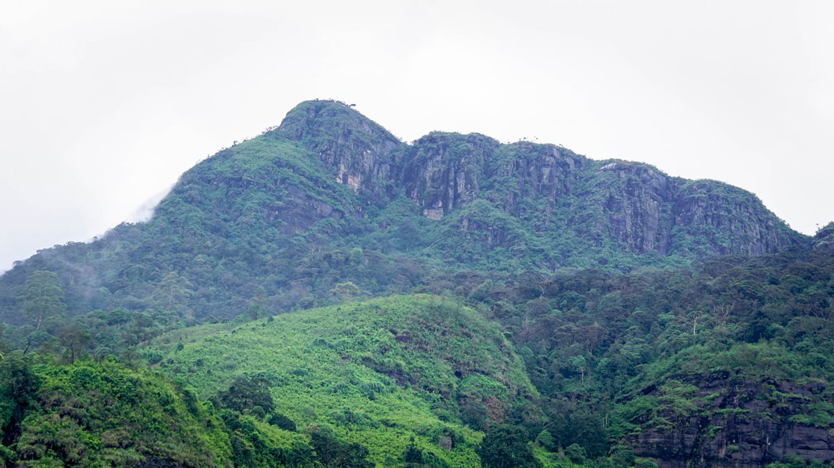 RT <a href="/ndilruksha/">Naleen Dilruksha</a>: Great western mountain.
මේ මුදුන් පහම නැගල තියන අය කවුද ඉන්නේ...
#TravelSriLanka #VisitSriLanka #Travel #rain #mountain #sky #cloud #hashtagsrilanka #adventure #travelphotography #SriLanka #LKA #lka