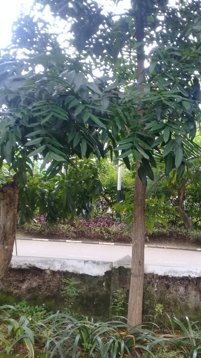 t_sumarno's tweet photo. #agpearthHour
#Connect2Earth
#earthhour2019ceh
#EarthHour
#agpeduli 
#ChangeClimateChange https://t.co/omJDJoLdce