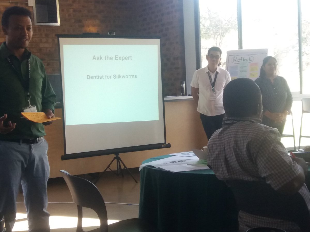 Elhadid76533907's tweet photo. If you cant imagine yourself being an efficient dentist for silkworms, we are skeptical that you can imagine future of Africa in 10 years. As a leader, use your imagination all the time @bernardslippers #imaginefutureafrica #ASLP4 https://t.co/sQCbyB9BRo