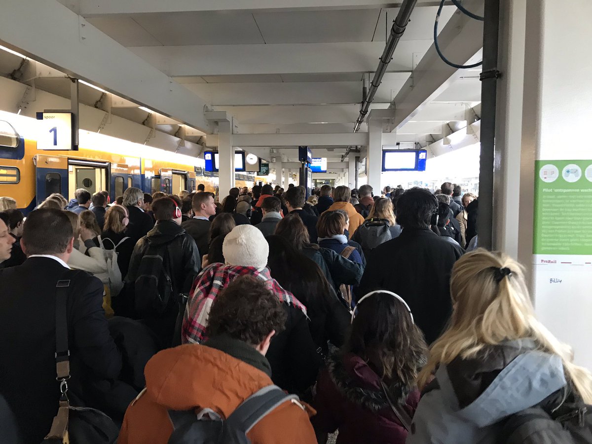 En zelfs áls je zonder kleerscheuren Adam Zuid bereikt, is het file het perron af #treinleven <a href="/NS_online/">NS online</a> #teveelmensen #teweinigperron #weervertraging #langlevedewerkzaamheden #haataandens #nogmeerhaataanprorail