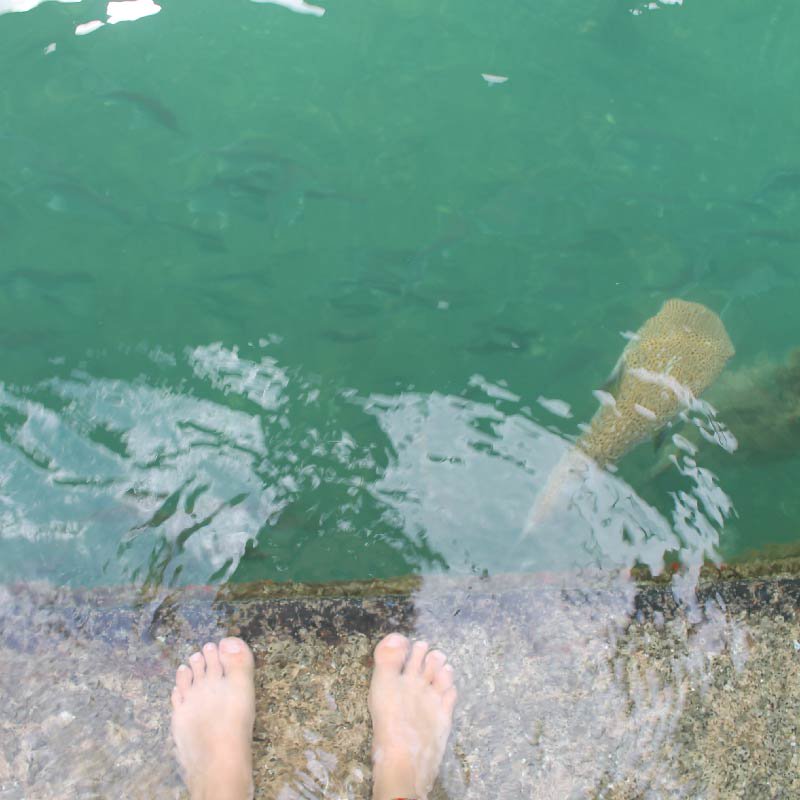 Latest in our blog: Costa Rica Ecolodge Shows How To Be Sustainable With Water On World Water Day 
Keep Reading: bit.ly/2UhsVUq