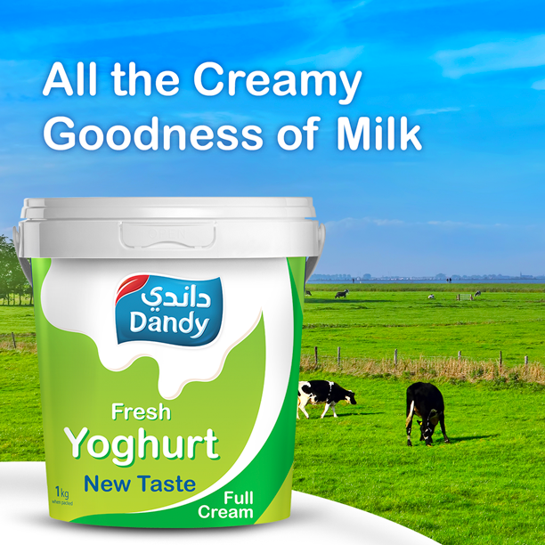 DandyArabia's tweet photo. Dandy New Taste Yogurt, deliciously creamy
#DandyArabia #Qatar #Doha #Local #MadeinQatar #Tasty #Delicious
زبادي الطعم الجديد من داندي، قشدي ولذيذ. 
#داندي #قطر #الدوحة #محلي #صنعفيقطر #لذيذ https://t.co/EBoUtvTmAf