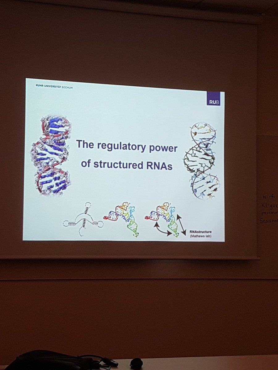 Afternoon highlight with presentation by Prof. Franz Naberhaus on  "The regulatory power of structured RNAs"