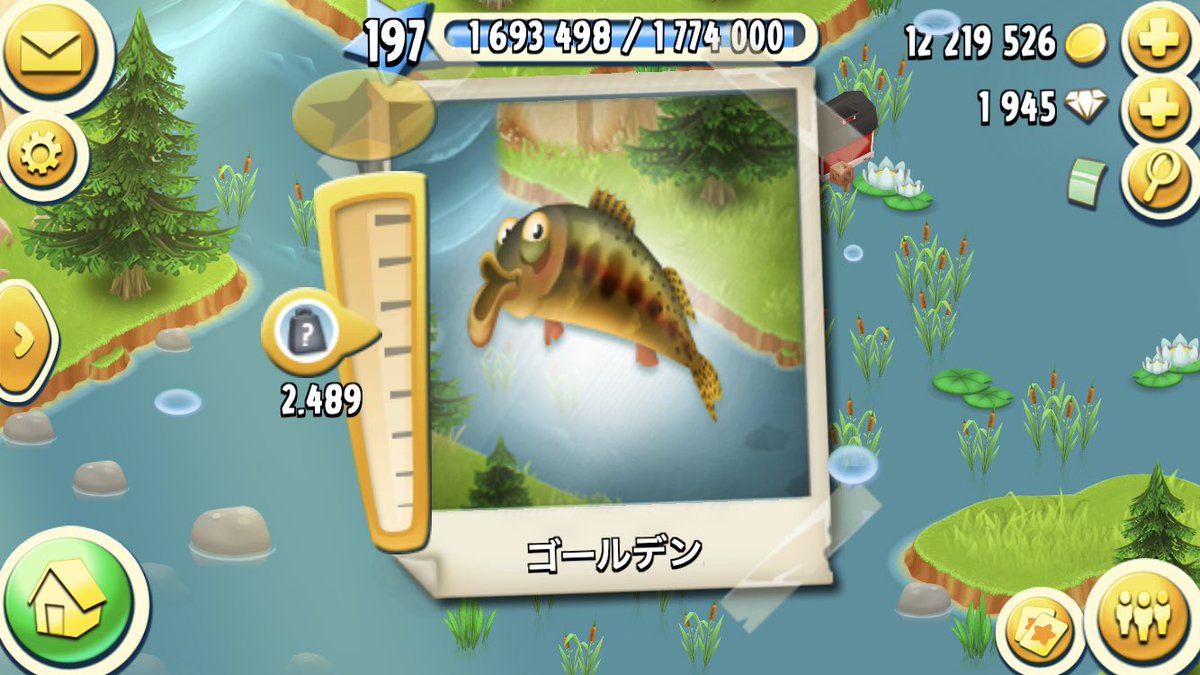 ヘイデイ魚図鑑 Hashtag V Twitter