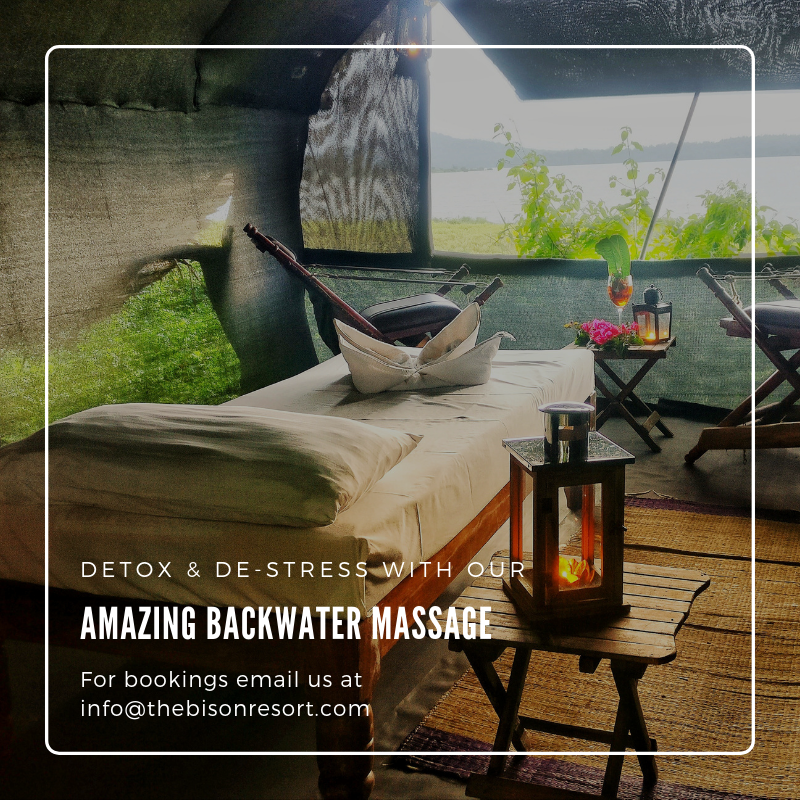 TheBisonKabini's tweet photo. Indulge in self-care and self-love pampering yourself in the fresh air with the finest therapies from our skilled personnel. Come experience living in luxury at The Bison. For bookings email us at - info@thebisonresort.com. #WildKarnataka #IncredibleIndia https://t.co/gGY31N6Siu