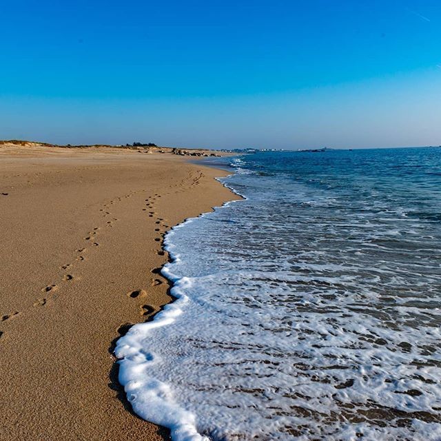 OTNevez's tweet photo. Une vague de sérénité et d'air pur ! Magnifique photo de @falke_7 🧡 #myfinistere #neverstoptravelling #bretagne #france #portdattache
#finistere #bestshot #mybrittany #francetourisme #seaside
#finisteretourisme #neverstopexploring #visitb… https://t.co/vUTcG9nabb https://t.co/27f7HI3ExF