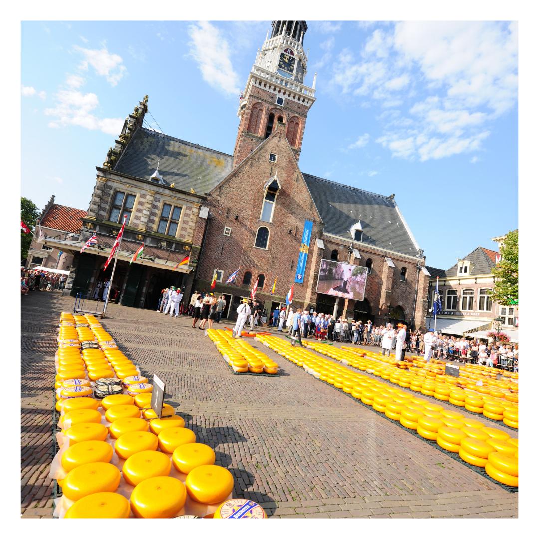 Starting tomorrow, the cheese market in Alkmaar is operating again and the cheese porters or 'kaasdragers' are ready for your visit.
Up to 30,000 kilos, or 2200 whole cheeses, are lined up and waiting for you!
•
#cheesemarket #alkmaar #holland #cheese #iloveholland #typicaldutch