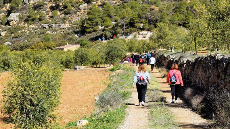 somgarrigues's tweet photo. La 7a @MarxaOmellons, a punt d'esgotar les 700 places disponibles per la cita d'aquest diumenge. 
https://t.co/BQgCC2V0ix https://t.co/EBjCsn66yY