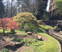 DrHogMother's tweet photo. Great to learn from a colleague that apparently the #hedeghogs on the @SwanseaUni campus love this island but used to  fall in the water so the kind-hearted grounds team installed bridges for them 🦔🦔 https://t.co/VzxpIRSXOE