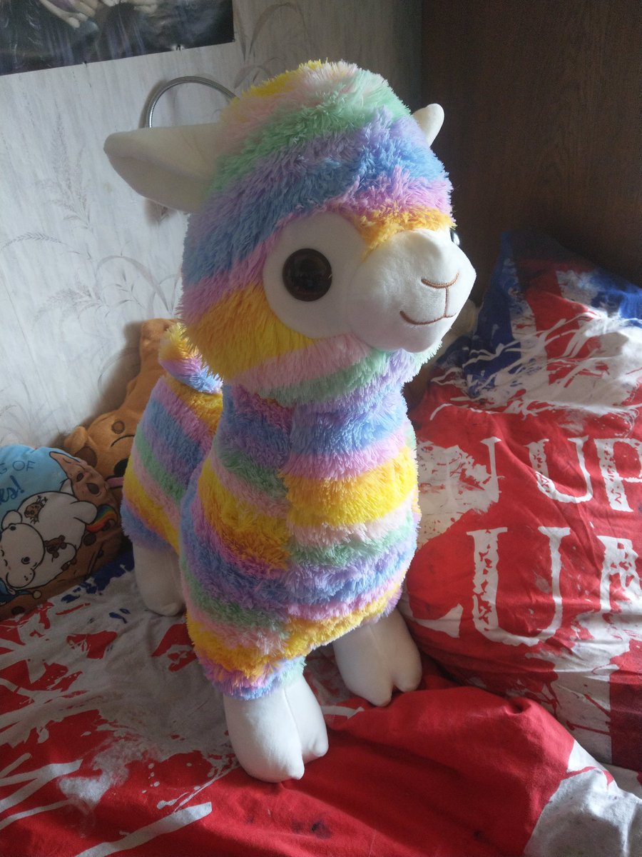 LizzyAssassin's tweet photo. Ich hab echt das süßeste Alpaka der Welt 😍 jemand Ideen für einen Namen? :D https://t.co/7wsp2WmSMP
