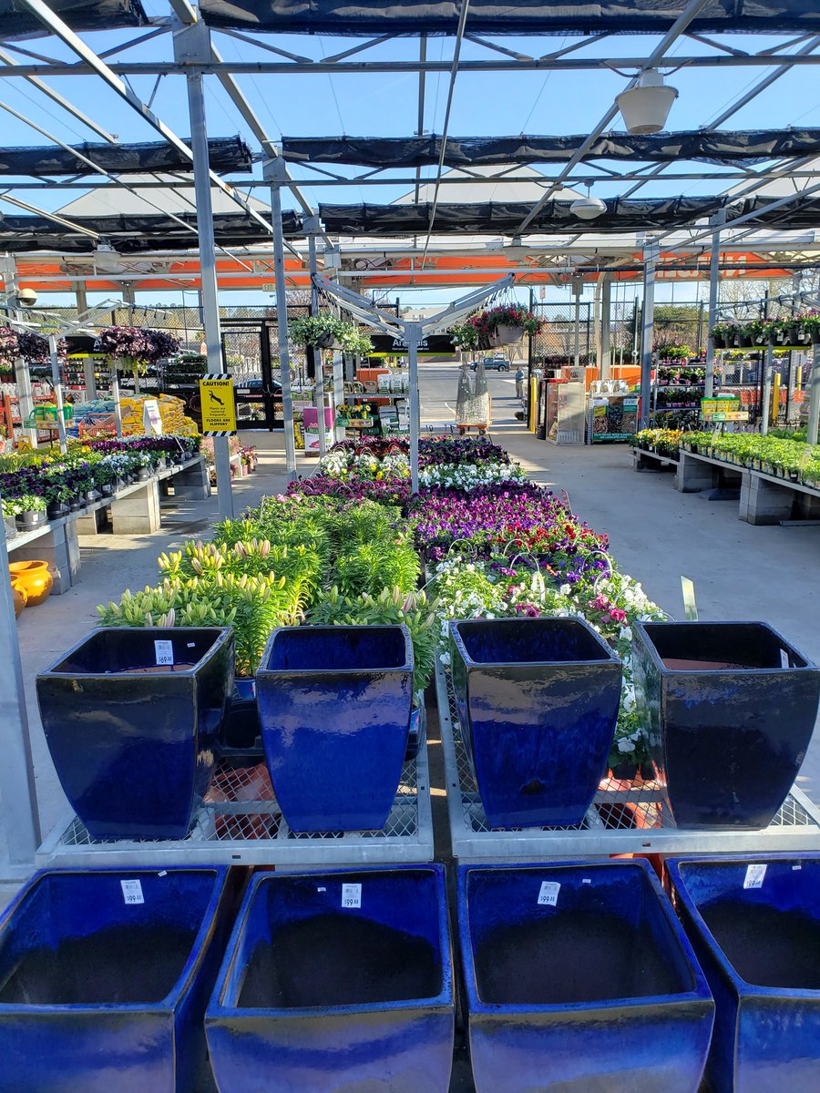jennifer9674's tweet photo. Bring on SPRING days Mother Nature, we are #ReadyforSpringInD2! Check out this garden department at the #NextLevel0143! Shout out to this amazing team in Douglasville, they are primed and ready to take care of our customers! @Brad_Peebles @ChrisBergHD https://t.co/TTdBEC0ggh