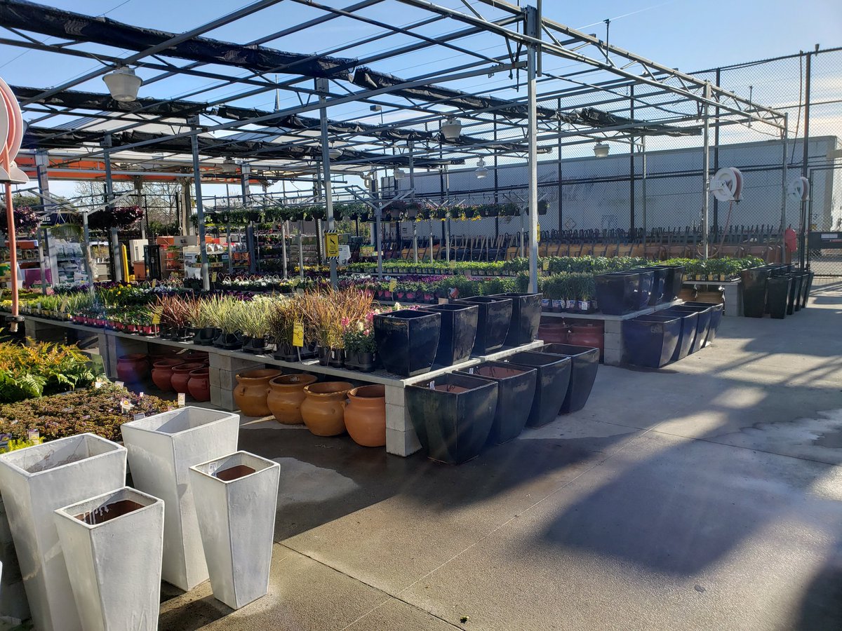 jennifer9674's tweet photo. Bring on SPRING days Mother Nature, we are #ReadyforSpringInD2! Check out this garden department at the #NextLevel0143! Shout out to this amazing team in Douglasville, they are primed and ready to take care of our customers! @Brad_Peebles @ChrisBergHD https://t.co/TTdBEC0ggh