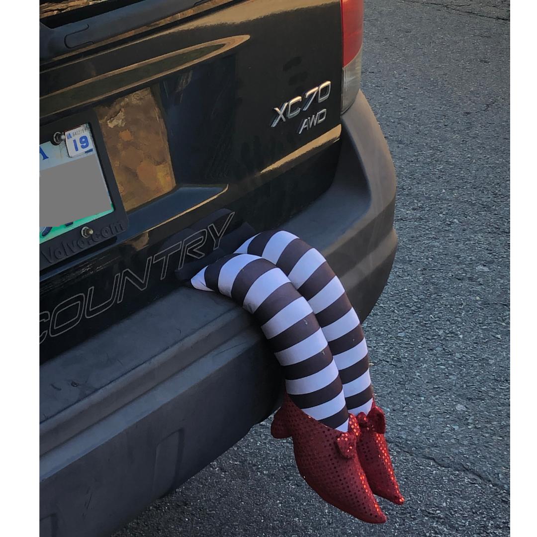 Shelley Sackier On Twitter As Coroner I Must Aver I Thoroughly Examined Her And She S Not Only Merely Dead She S Really Most Sincerely Dead Hehe Happy Thursday Peeps Rubyslippers Wickedwitchofthewest Coroner Oops As coroner, i must aver. twitter