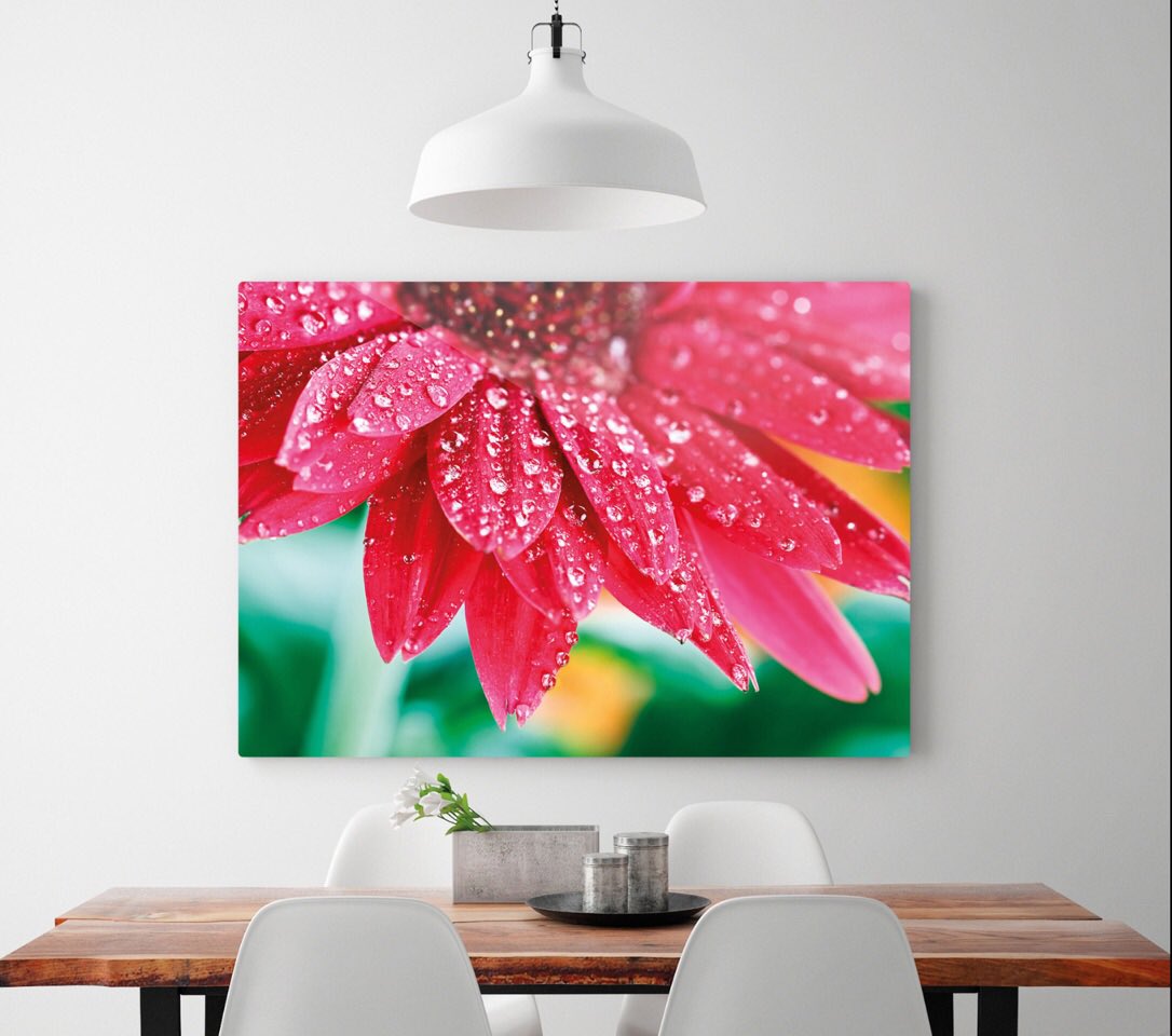 1331Paca's tweet photo. [Photo] C’est le #printemps ☀️🐇 ! Imprimez vos photos sur #aluminium !! #expophotos #idéesdeco #maison #subligraphie @atelier1331 https://t.co/9YTzqpGEJF