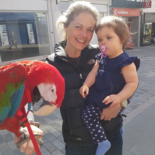 Meeting a real parrot 😍😍