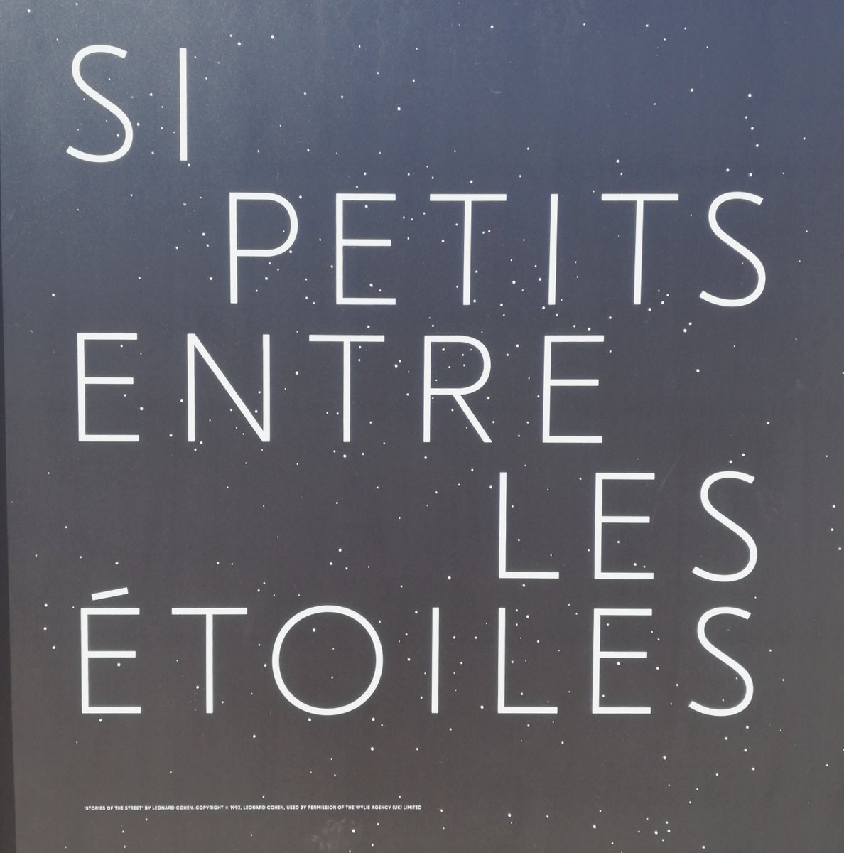 NoMAD_Tweets's tweet image. Striking &amp;amp; powerful images by Canadian Plains Cree #photographer Meryl McMaster in the #villequebec @manifdart biennial &apos;Si petit entre les etoiles, si grand contre le ciel&apos; #manifdart9. Inspired by the lyrics of Quebecois poet and musician Leonard Cohen. #art #nature #poetry