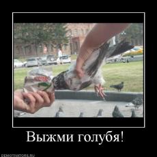 MarchenkoVavan tweet picture