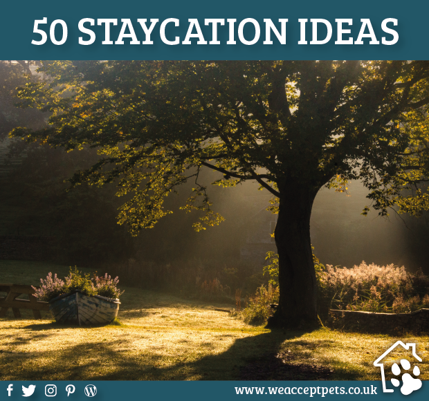 We hope you've enjoyed our 50 #staycation suggestions! Stay tuned for lots more pet friendly #travelinspiration. 🐾

 weacceptpets.co.uk

#StaycationInspiration #TravelIdeas #PetFriendlyTravel