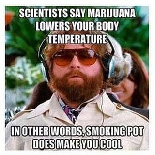 stinksack's tweet photo. #smellproof #odorless #stinksack #stealth #cannabis #marijuana #dabs #extracts #edibles #headies #kush #cancer #indica #newyorkcity #smokeweedeveryday #cbd #thc  #ommp #snoopdog #wutangclan #cypresshill #cannabis #bassnectar #festivals #burningman #ommp https://t.co/zFAAlJSDvb https://t.co/JVoXwEdX3p
