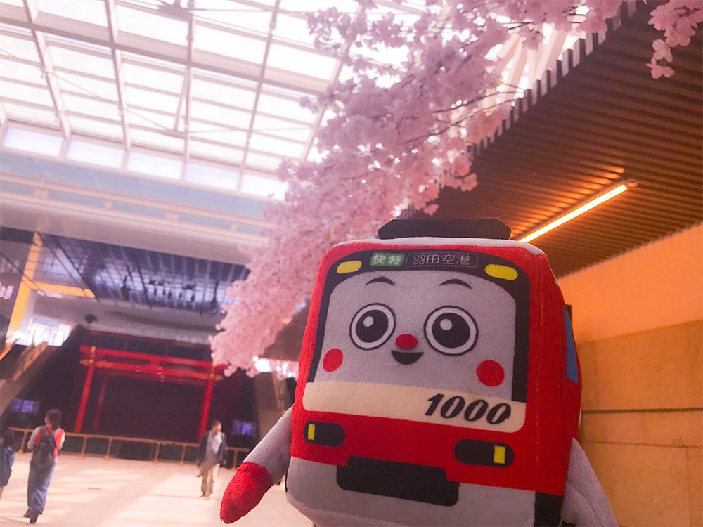 けいきゅん 京急電鉄公式 羽田空港国際線ターミナルは桜が満開だったよ お天気を気にせずお花見ができておすすめきゅん 3 30 31は 大田 品川はねだ桜祭り19 が開催されるよ けいきゅんも遊びにいくきゅん みんなも遊びにきてね けいき