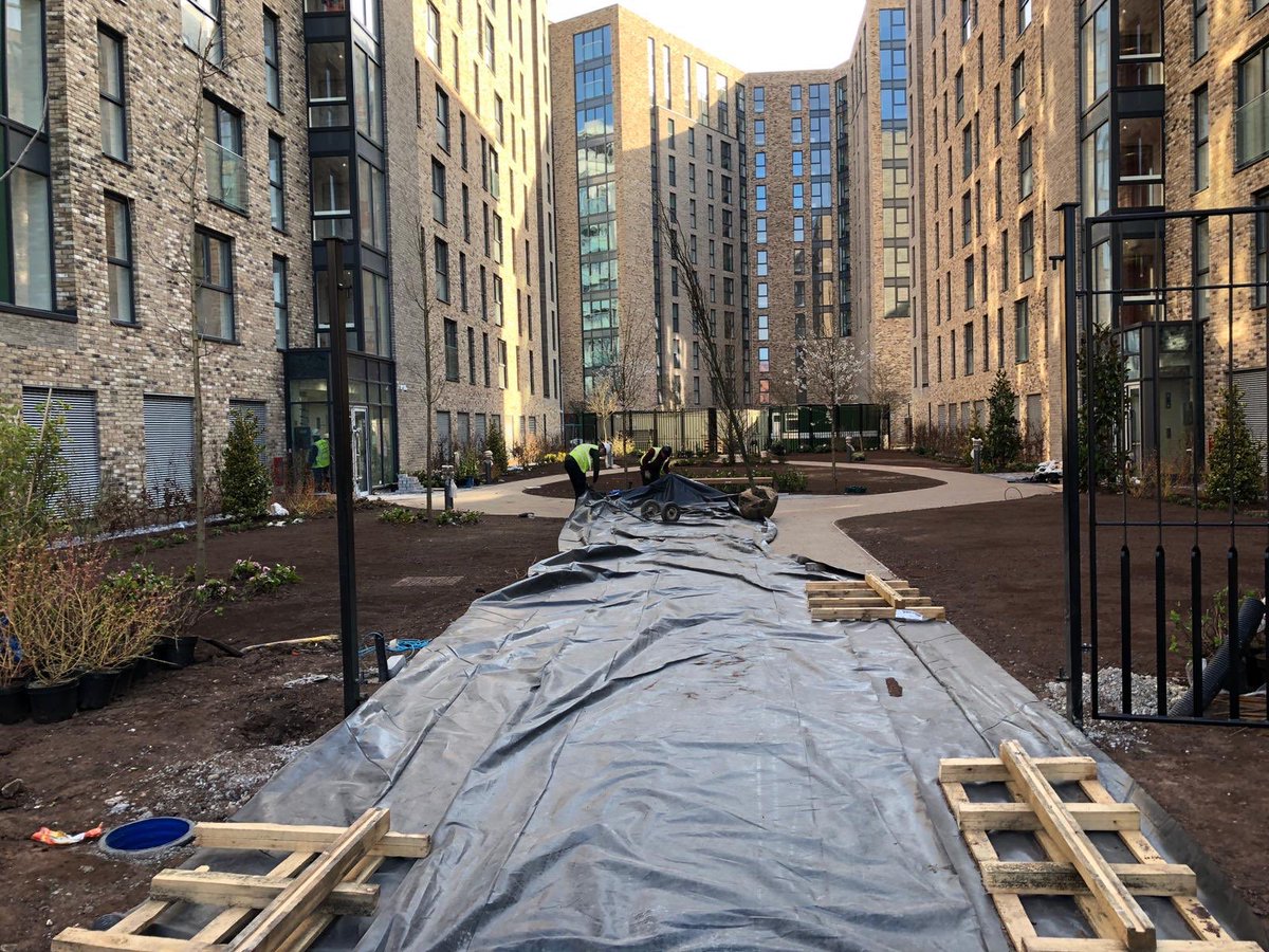 BarnesWalkerLtd's tweet photo. Planting works progressing at speed before the planting season ends at Clippers Quay. This is a mixed use development in Salford Quays with, most importantly, outside space.
#landarch #salford #mixeduse #residential #urbandesign #cityliving #reflection #thequays #mediacity https://t.co/IRmRbYalth