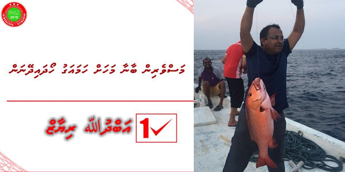 Fazeel tweet media