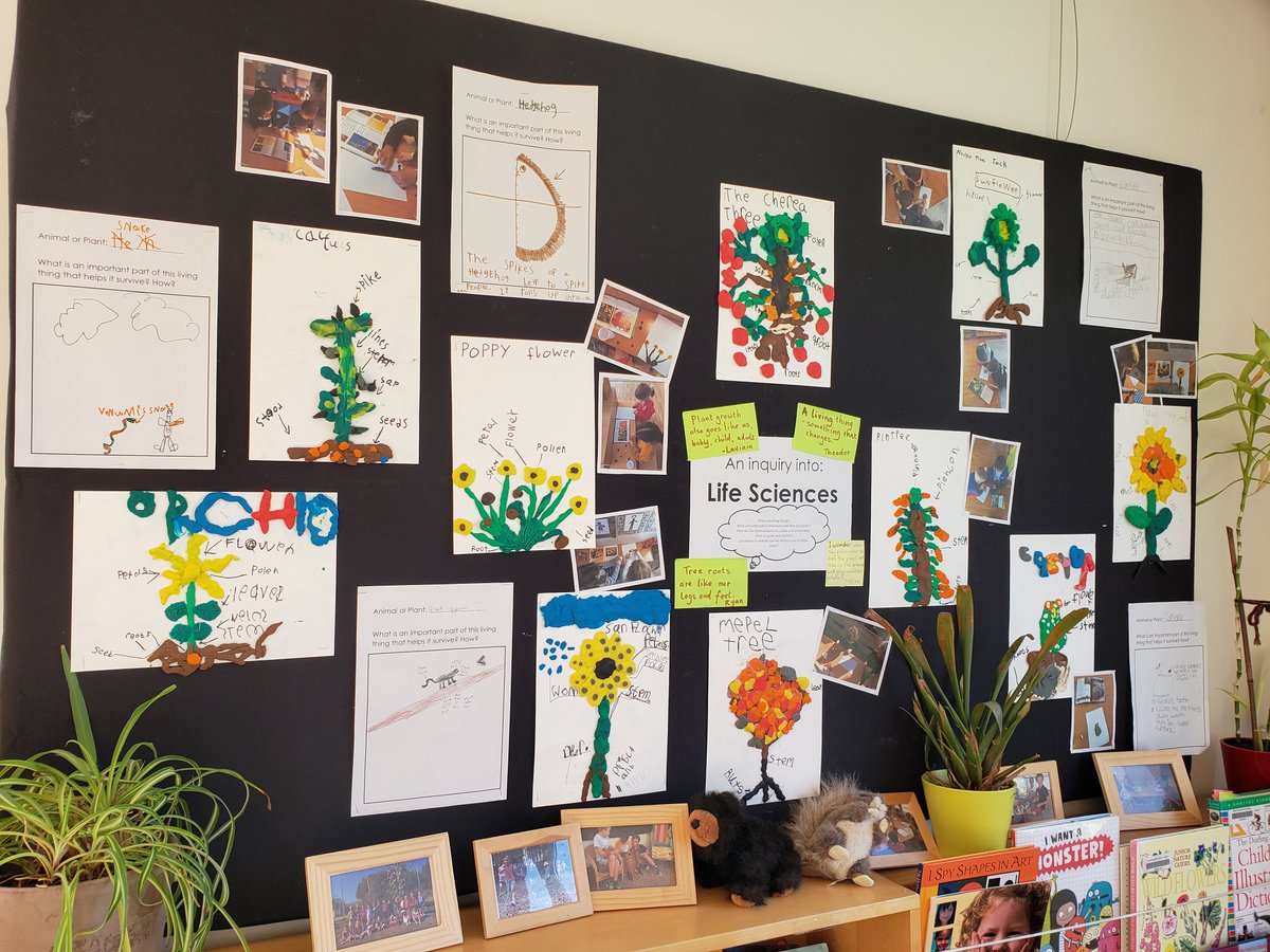 _sarabateman's tweet photo. #Documentation enhances teaching and learning... and student-led conferences! I love it when our boards catch a parent's eye and they have to pause and look closer. https://t.co/S2MU30rUTN