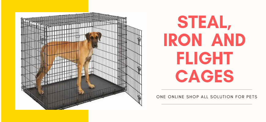 ScoobeePet's tweet photo. #scoobeepetproducts #petlover #doglover #petfood #dogcages #flightcages #wiredcages #ironcage #steelcage
order best quality cages online for dogs,cats, mouse and birds on https://t.co/a28wligjP7 https://t.co/q1kD9yNiN0