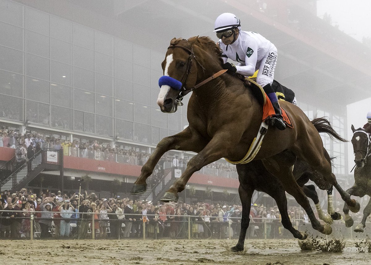 Coolmore America tweet media