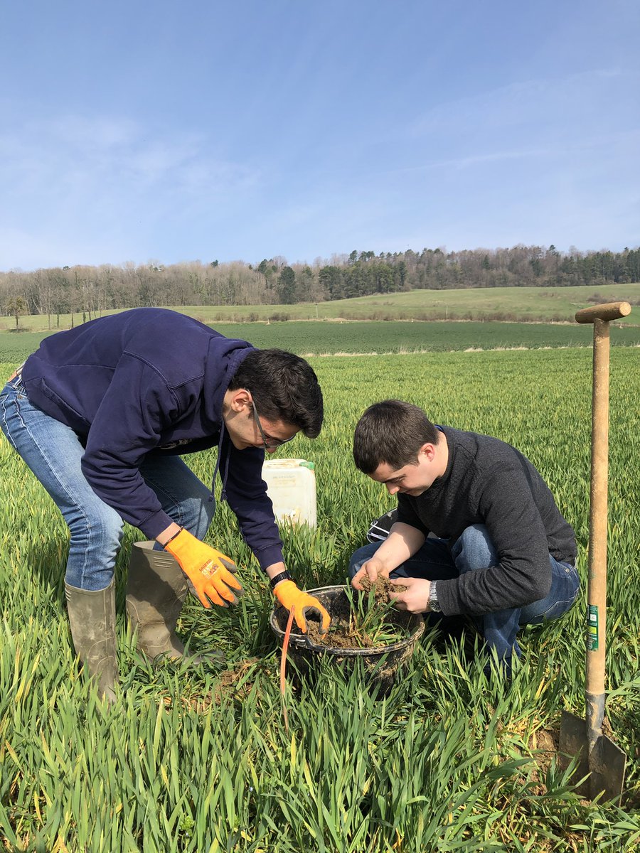 coopEMC2's tweet photo. Dénombrement des vers de terre dans le cadre des suivis biodiversité des parcelles d’adhérents engagés dans Ecophypto avec la coopérative. Reportage vidéo à venir #agronomie  #agriculture https://t.co/tOWt9AxxgL