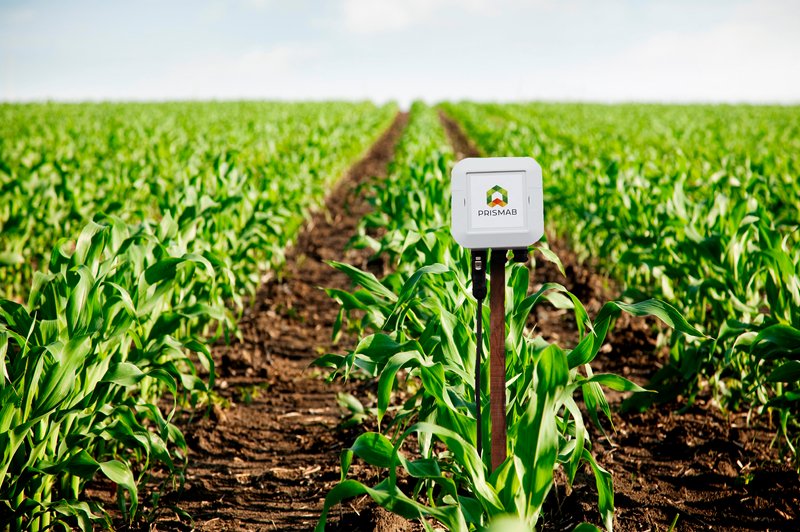 huerta_digital's tweet photo. La agricultura se digitaliza a través de sensores 🌱📲 https://t.co/rBmEJJfRm0 ➡️ @elmundoes | @PRISMAB_SEN https://t.co/vuuEsLpgz0