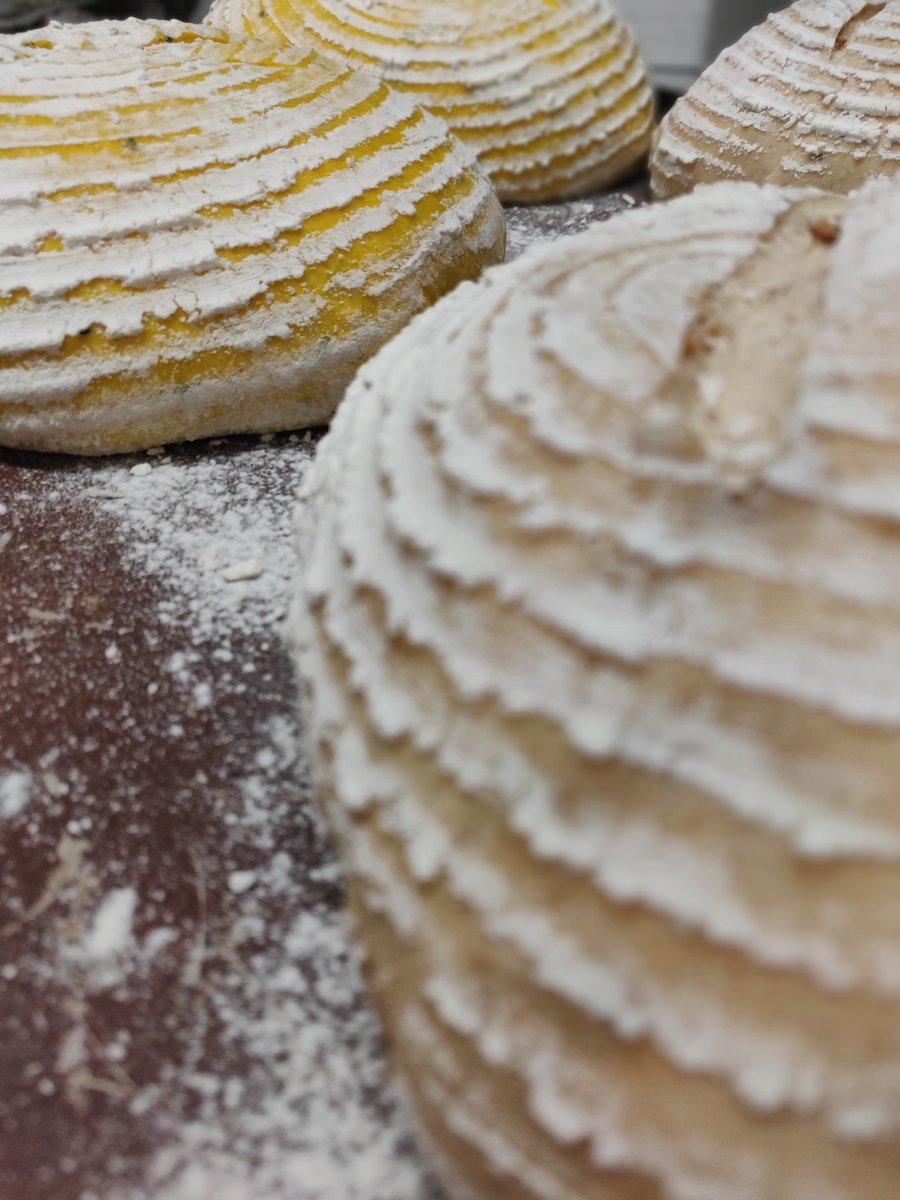 #sourdough proved and ready to pop into the oven. #RealBread sandwiches available shortly.